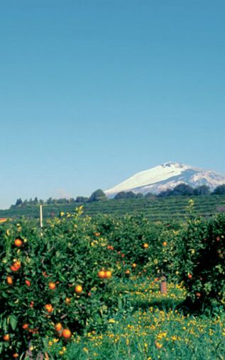 Sicile