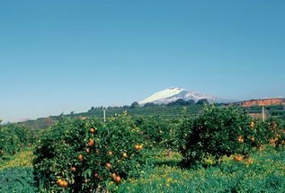 Sicile
